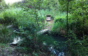 18/09/13 : Visite municipale du terrain !