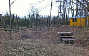 Vie Active du 25/01/14