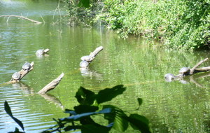 Réussite ATAL / protection de la nature