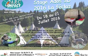 Stages 3D Arc Impact