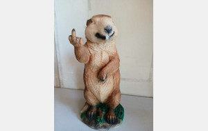 Tir 3D fun - Wittelsheim - 26/04/2026