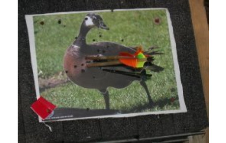 Nature ATAL 10.10.10