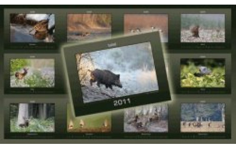 Calendrier de fin d'année