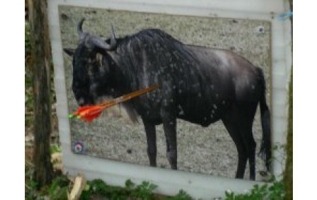 Nature Chapelle Thècle le 03/04/11