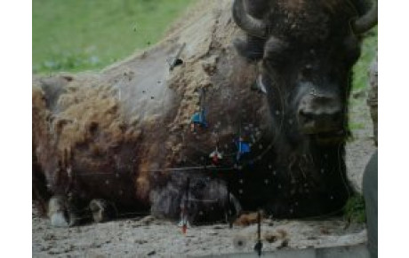 Nature Marchaux (Doubs)