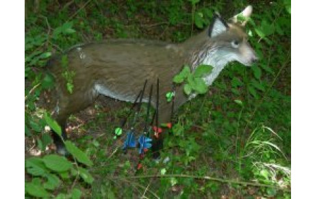 3D ATAL 05 juin 2011