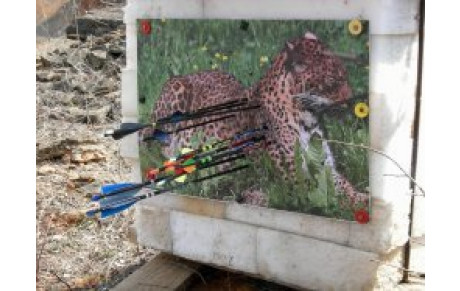 Nature Gray 18 Mars 12