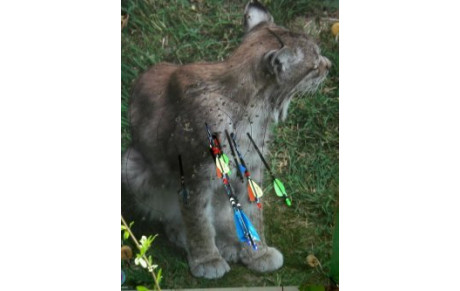 Nature Beaune 08 Avril12