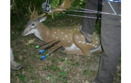 Concours 3D Lingolsheim