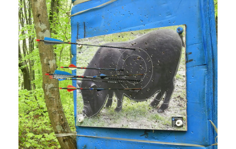 Concours nature Pont St Vincent