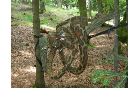 Tournoi 3D du Frenz les 27 et 28 juillet 2013