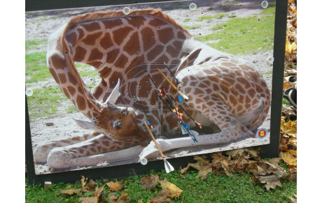 Parcours complet (21 cibles) opérationel !!!