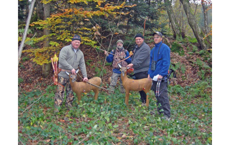  le 17/11/13, 3D amical Epinal 