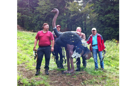 26-27/07/14  Tournoi amical 3D du Frenz