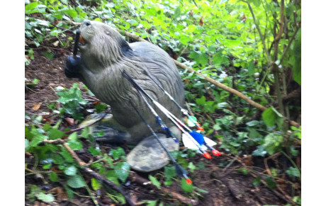 13/07/14 Tir 3D Dôle - Chamblay