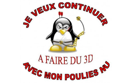 Non à la disparition de la catégorie arc à poulies nu en 3D.