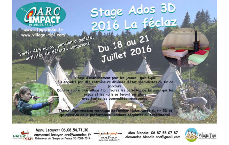 Stages 3D Arc Impact