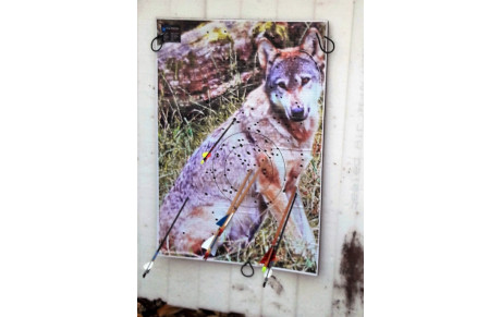 Calendriers 3D et nature 2017