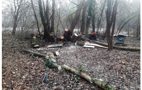 25.02 VA - journée de travail