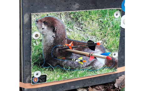 Tir nature Gray 12 mars