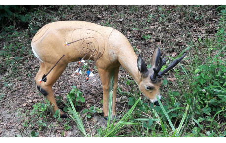 3D Marchaux 25 juin 2017