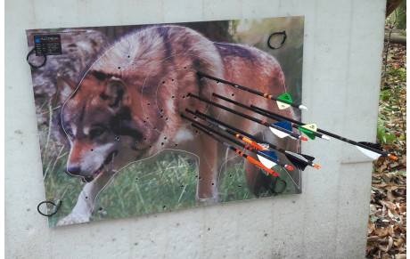 Tir nature Neuwiller les Saverne 15.10.17