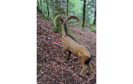 Tournoi 3D du Frenz - 2025